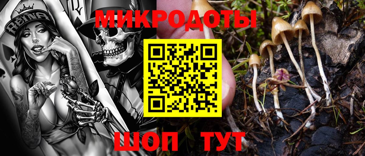 Удомля  Псилоцибиновые грибы прущие грибы  Вход с VPN 